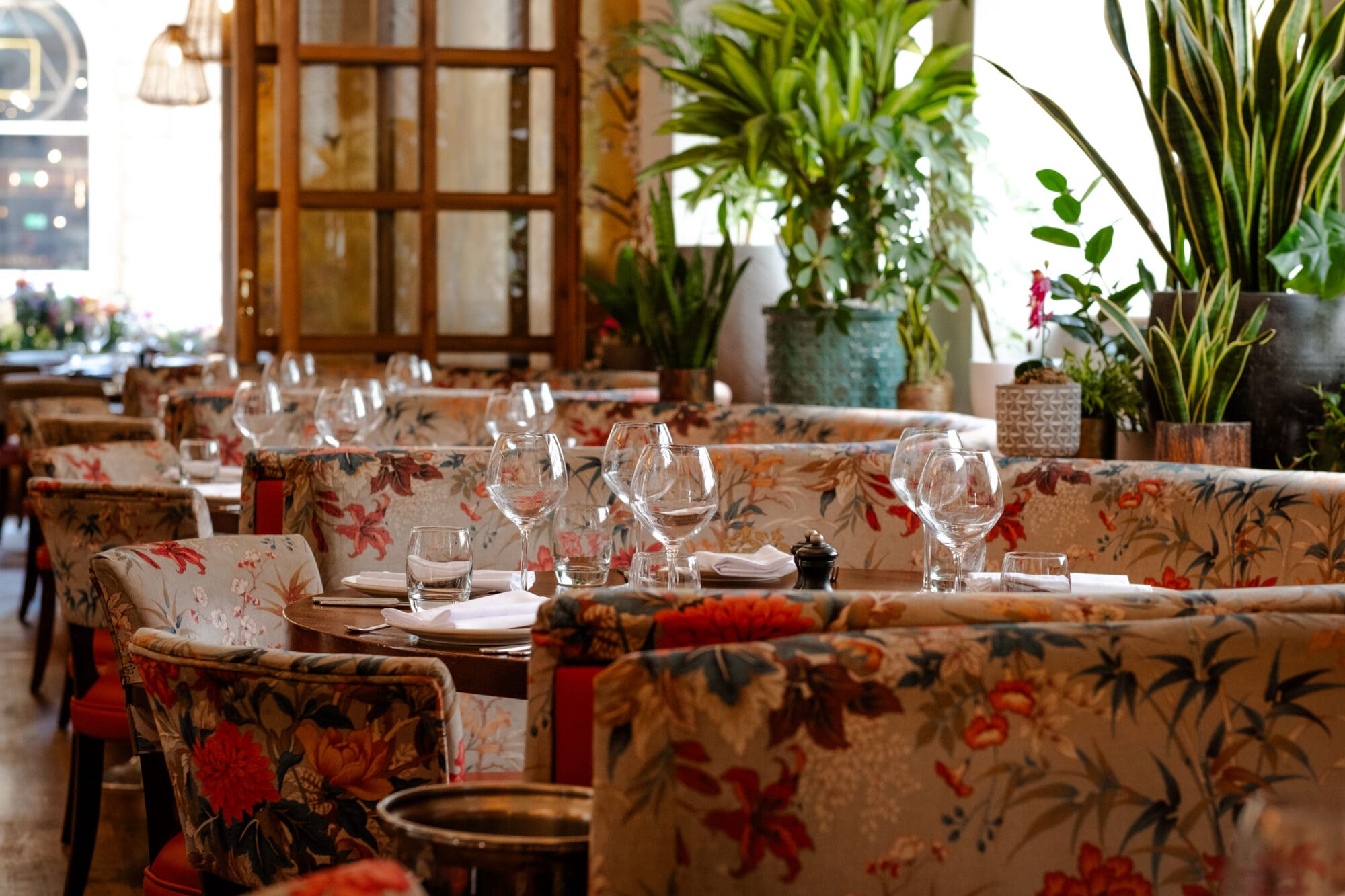 Inside an Individual Restaurants dining room